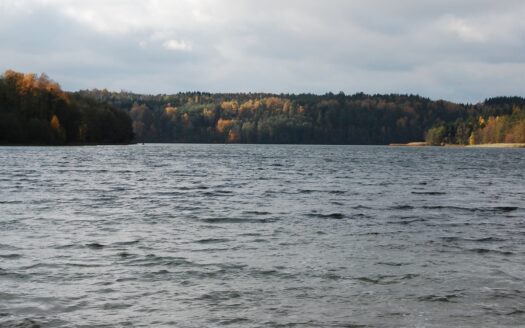 Mazury!! Działki 3000m w okolicach jeziora Garbas