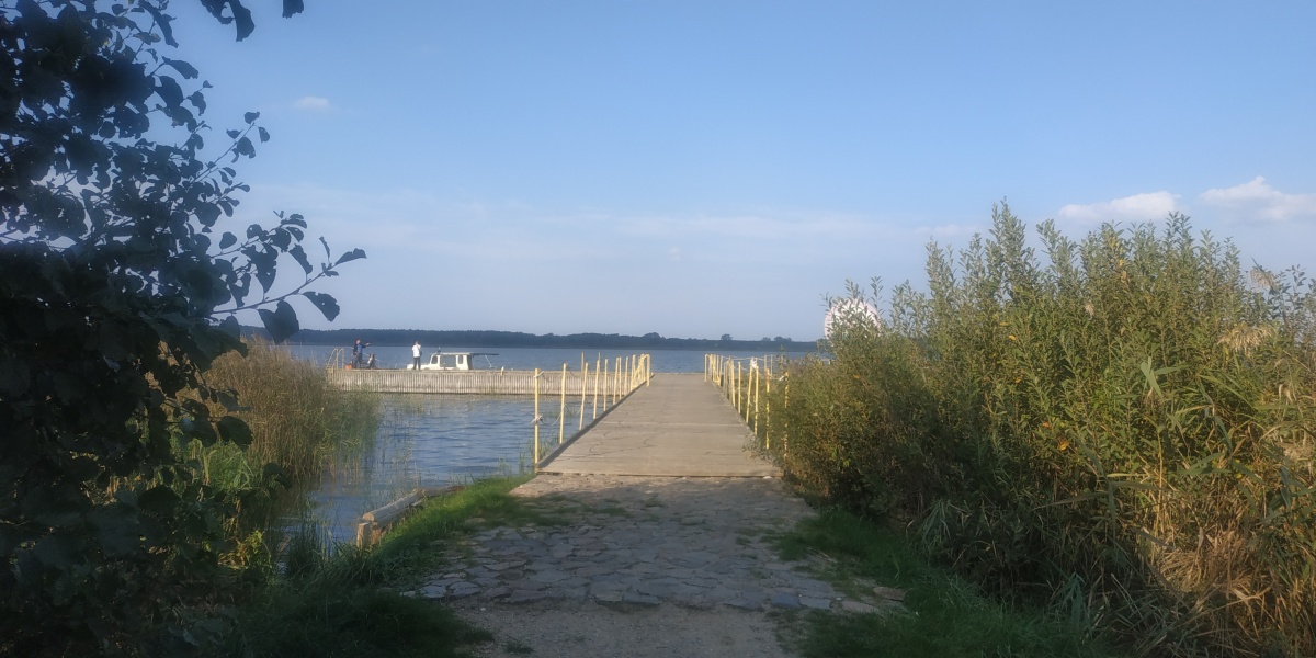 video image