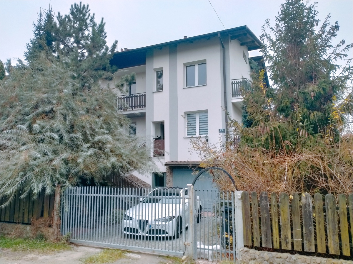 video image