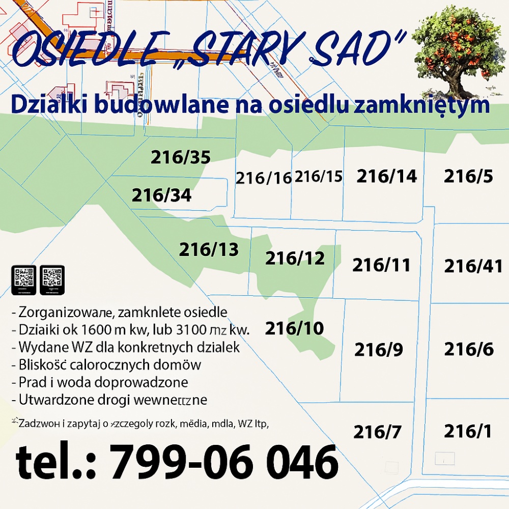 video image