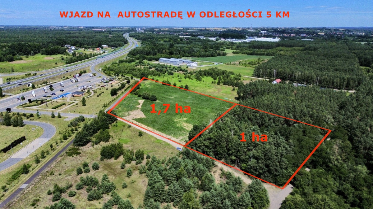 video image