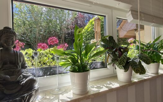 DOM BLIŹNIAK  W  ŚWIETNEJ LOKALIZACJI