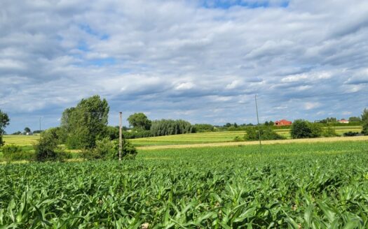 Atrakcyjna działka budowlana Płouszowice Kolonia