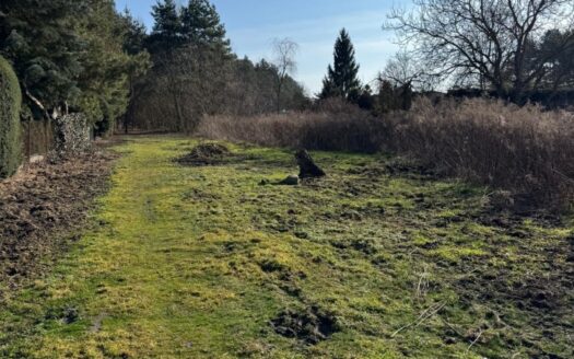 Pilna sprzedaż.Wyjątkowa okazja w Puszczykówku !!!!
