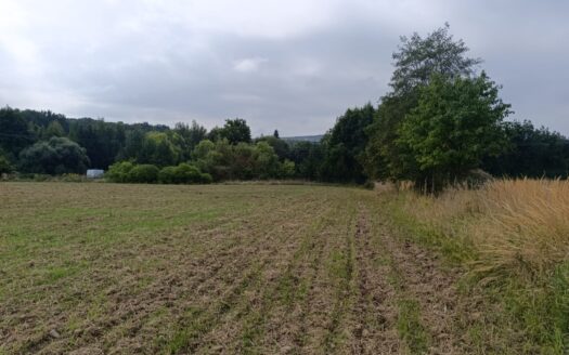 Działka zagrodowa 30ar Janczowice gm. Łagiewniki