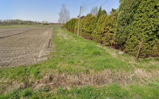 Dobiesz, Wolska, budowlano-usługowa, asfalt, media