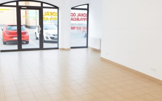 LOKAL USŁUGOWO HANDLOWY,  LOKALIZACJA CENTRUM