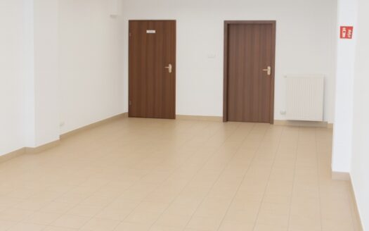 LOKAL USŁUGOWO HANDLOWY,  LOKALIZACJA CENTRUM