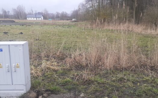 Działka 4500 mkw . Jeziora / Pniewy