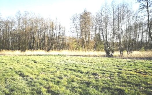 Działka 4500 mkw . Jeziora / Pniewy