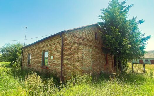 Siedlisko Nowe Sarnowo gmina Dzierzążnia