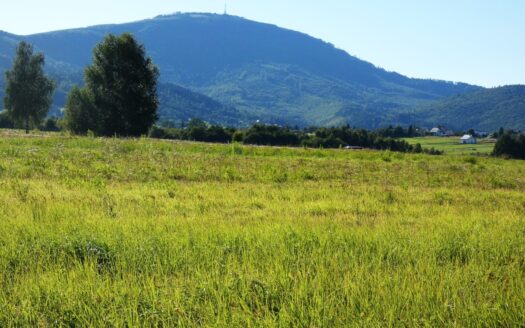 Panoramiczna działka w Lipowej, Beskid Żywiecki
