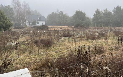 Działka budowlana w Rżyskach