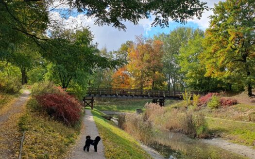 Przytulny apartament przy Parku Fort Bema