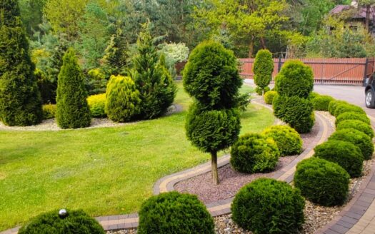 Dom w sercu pachnącego lasu.