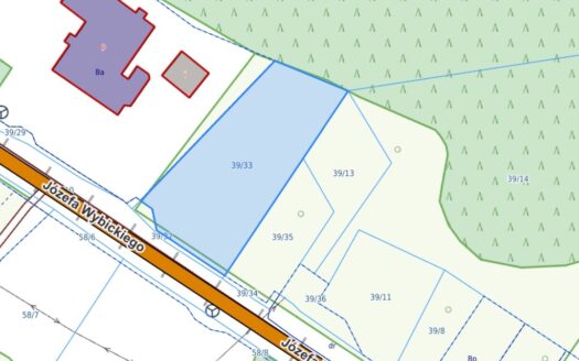 DZIAŁKA USŁUGOWA_BOJANO_UL.WYBICKIEGO