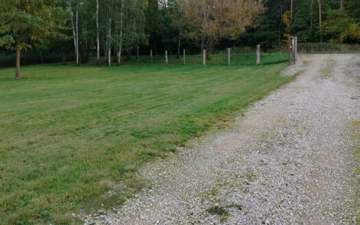 Malownicza działka pod lasem