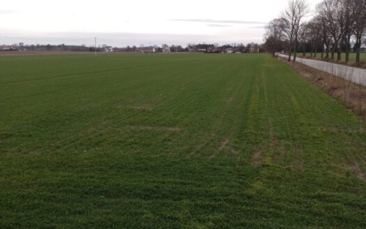 Sprzedam działki Winnica, 1000-1300m2