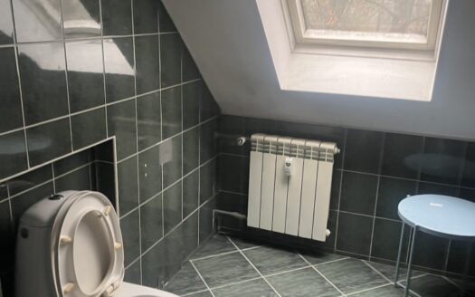 Willa w Parku Skaryszewskim – biuro i mieszkanie