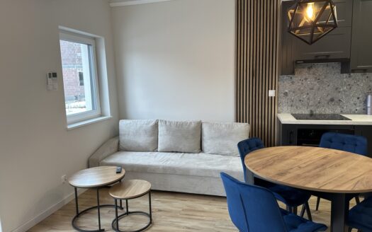 Lokal dwupoziomowy o funkcjonalnym rozkładzie