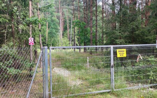 Działka z PNB Kieźliny – Olsztyn otoczona lasem