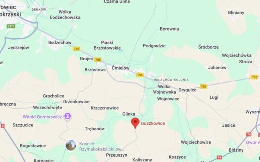 Działka z domem i zabudowaniami 5 km od Ćmielowa