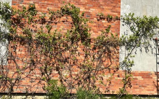 Kapice | Dom z Linią Brzegową | 400m² | Premium