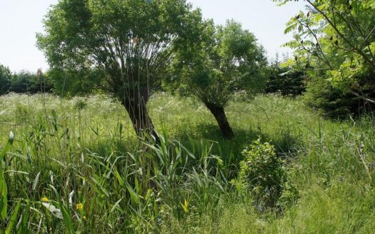 Działka z linią brzegową Rukławki,Dadaj