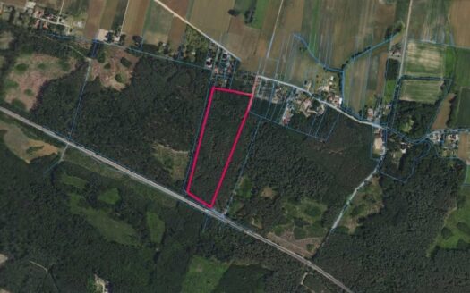 DZIAŁKA BOROWICE (5,81 ha) POD RESTAURACJĘ / HOTEL