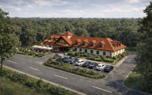 DZIAŁKA BOROWICE (5,81 ha) POD RESTAURACJĘ / HOTEL
