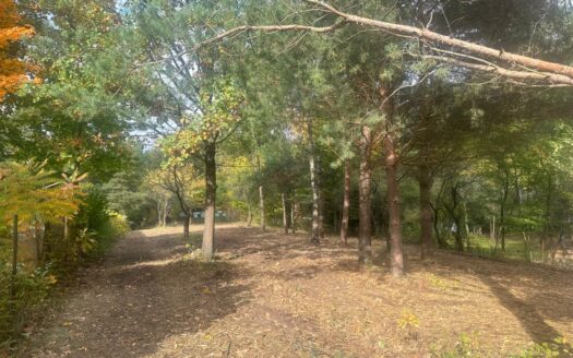 Radachówka nad rzeką Świder 30min z W-wy trasą S17