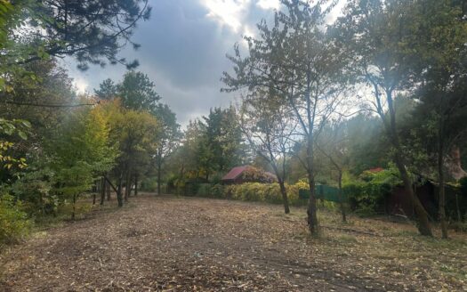 Radachówka nad rzeką Świder 30min z W-wy trasą S17