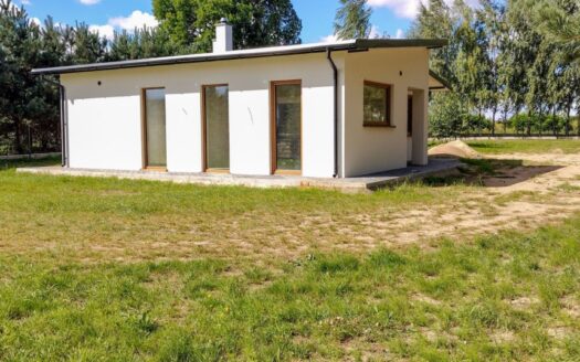 Nowy Dom parterowy Jeziorsko, Glinno Kolonia, las