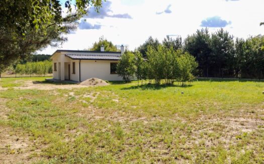 Nowy Dom parterowy Jeziorsko, Glinno Kolonia, las