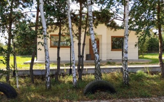 Nowy Dom parterowy Jeziorsko, Glinno Kolonia, las