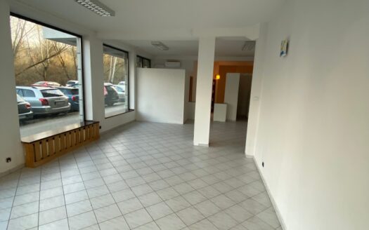 lokal handlowo-usługowy na Tarchominie