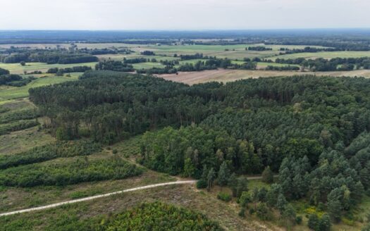 Działki w lesie 40 min od Wrocławia – od 39 900 zł!