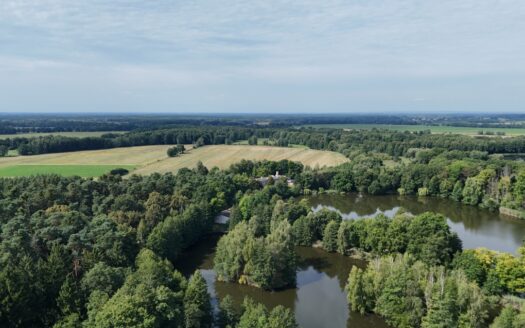 Działki w lesie 40 min od Wrocławia – od 39 900 zł!