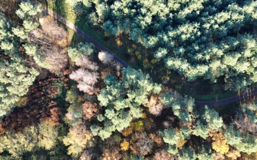 Działki w lesie 40 min od Wrocławia – od 39 900 zł!