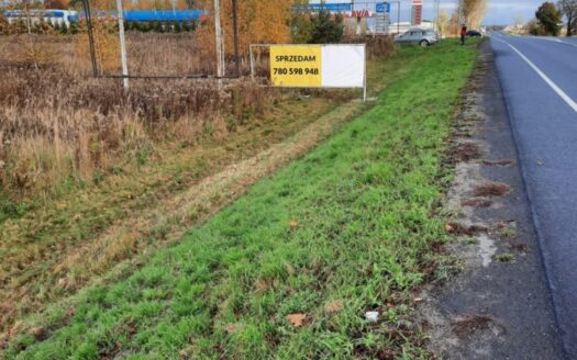 PYSKOWICE inwestycyjny 8800m2