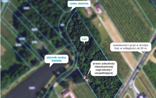 Duża działka budowlana Tomaszówka – Pniewy