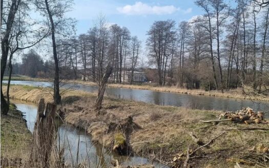 Duża działka budowlana Tomaszówka – Pniewy