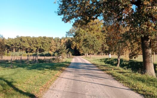 Działka Bogusławki – Sulęcinek