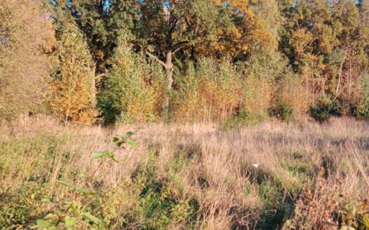 Działka Bogusławki – Sulęcinek